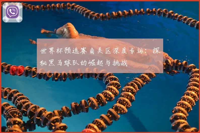 世界杯预选赛南美区深度专访：探秘黑马球队的崛起与挑战