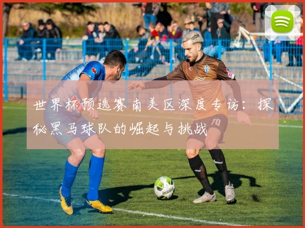 世界杯预选赛南美区深度专访：探秘黑马球队的崛起与挑战