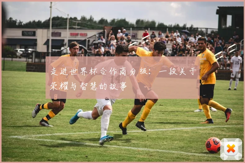 走进世界杯合作商分级：一段关于荣耀与智慧的故事