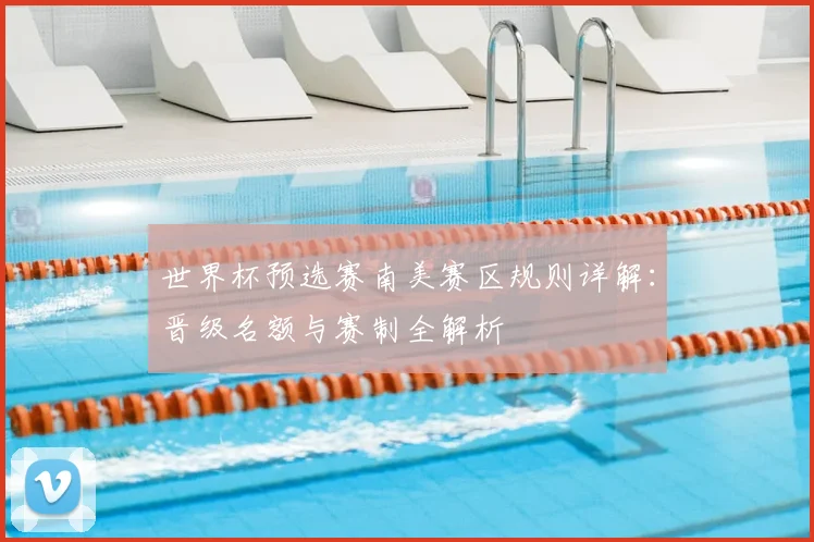 世界杯预选赛南美赛区规则详解：晋级名额与赛制全解析
