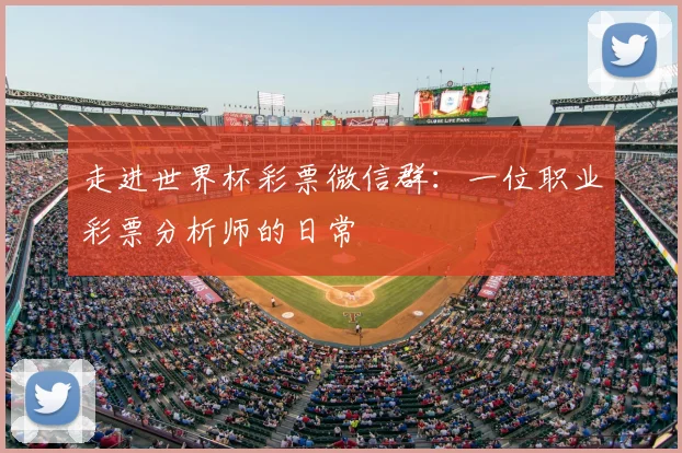 走进世界杯彩票微信群：一位职业彩票分析师的日常