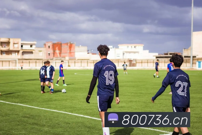 开云app在线入口平台生态图